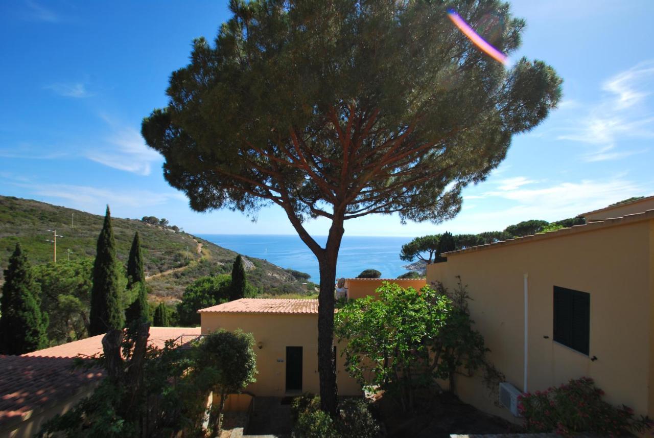 Grotta Azzurra Apartment - Cavoli - Terrazza Vista Mare, Clima E Parcheggio San Piero in Campo  Exteriör bild
